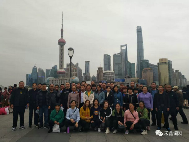 "Ή(mng)֮g(l )A|"2019A|֮ÈAM(mn)Y